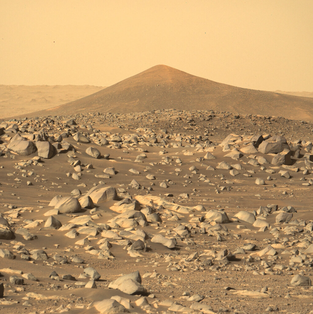 Screenshot 2025-05-27 135531