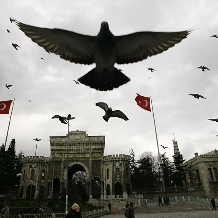turkey-flags-pigeonAP08021205822